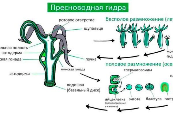 Как восстановить аккаунт на кракене даркнет