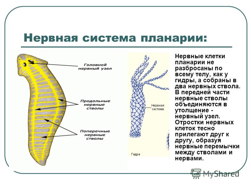 Кракен сайт at