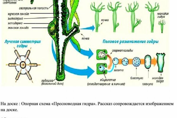 Магазин кракен даркнет сайт