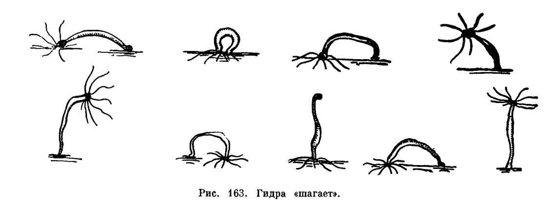 Как вывести деньги с kraken